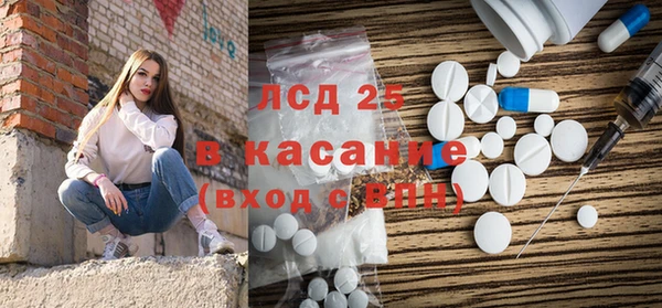 ГАЛЛЮЦИНОГЕННЫЕ ГРИБЫ Гусев