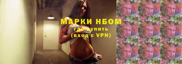 ГАЛЛЮЦИНОГЕННЫЕ ГРИБЫ Гусев