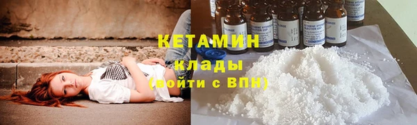 ГАЛЛЮЦИНОГЕННЫЕ ГРИБЫ Гусев