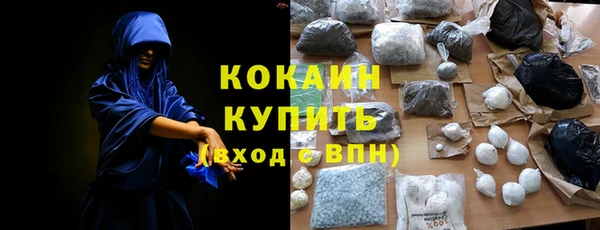 ГАЛЛЮЦИНОГЕННЫЕ ГРИБЫ Гусев