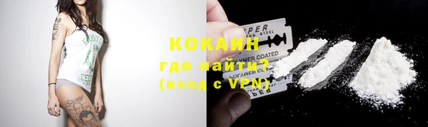 ГАЛЛЮЦИНОГЕННЫЕ ГРИБЫ Гусев