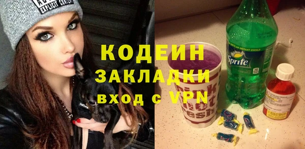 ГАЛЛЮЦИНОГЕННЫЕ ГРИБЫ Гусев
