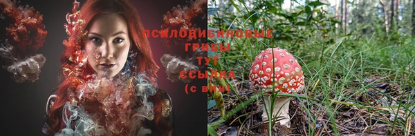 марки lsd Гусиноозёрск