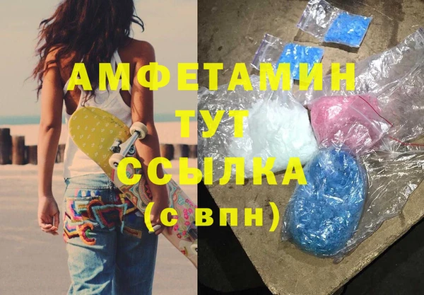 ГАЛЛЮЦИНОГЕННЫЕ ГРИБЫ Гусев
