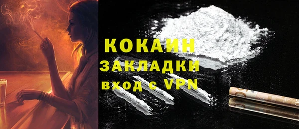 ГАЛЛЮЦИНОГЕННЫЕ ГРИБЫ Гусев