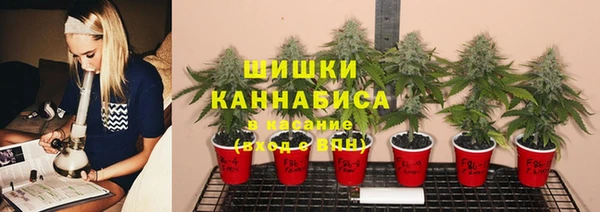 ГАЛЛЮЦИНОГЕННЫЕ ГРИБЫ Гусев