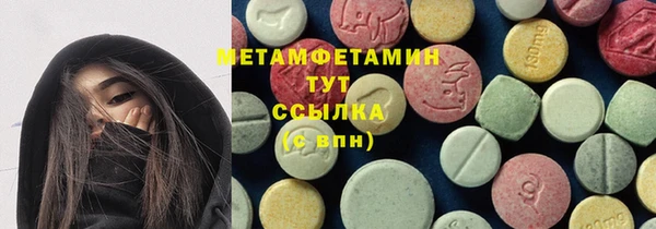 ГАЛЛЮЦИНОГЕННЫЕ ГРИБЫ Гусев